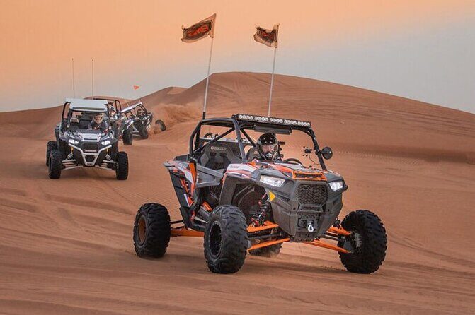 Qatar: Sunrise or Sunset Desert Tour in Doha, unforgettable trip - Group setup, pickup, and how the flow feels in real life