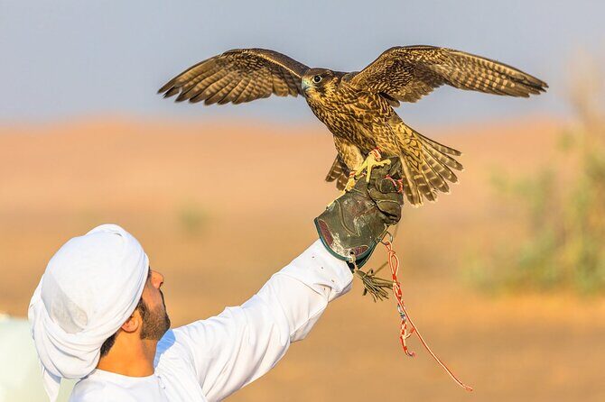 Qatar: Sunrise or Sunset Desert Tour in Doha, unforgettable trip - Who should book this sunrise or sunset desert tour?