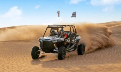Qatar: Sunset Desert Safari with Camel Ride & Sandboarding - Meet the Guides: Why Driver Skill Changes the Day
