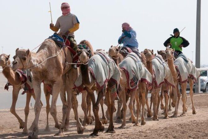 Qatar West Coast Zkreet Richard Sierra Camel Track Rock Formation - From pickup to the camel track: how the timing really works