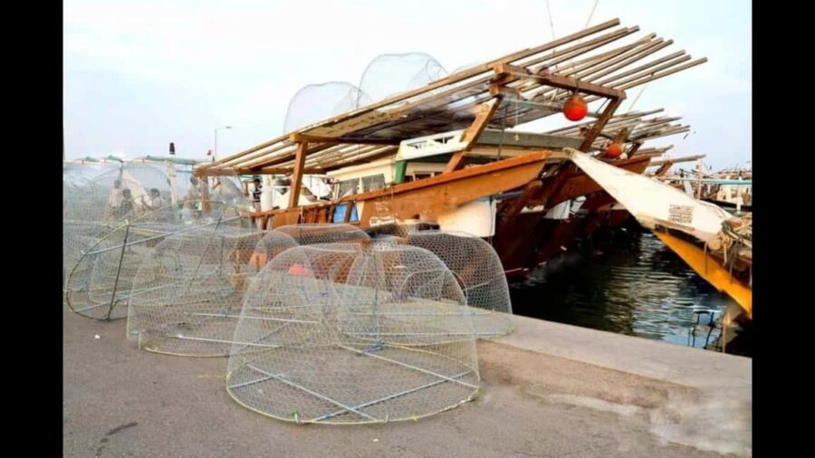 Qatar:North Tour, Purple island, zubara Fort, Jumail village - Key highlights you’ll remember
