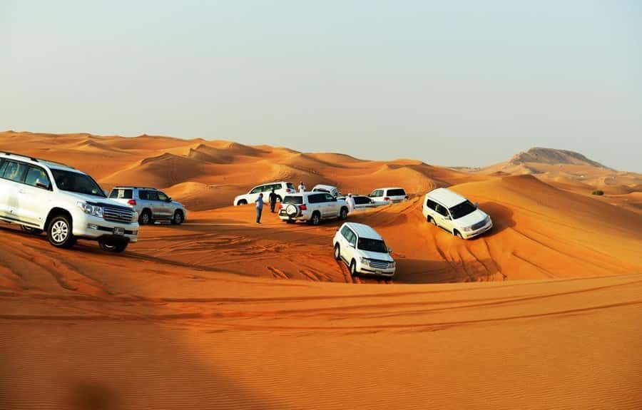 Quad Bike/Buggy, Desert Safari, Camel Ride, Dune Bashing - Who This Desert Safari Suits (and Who Should Rethink It)