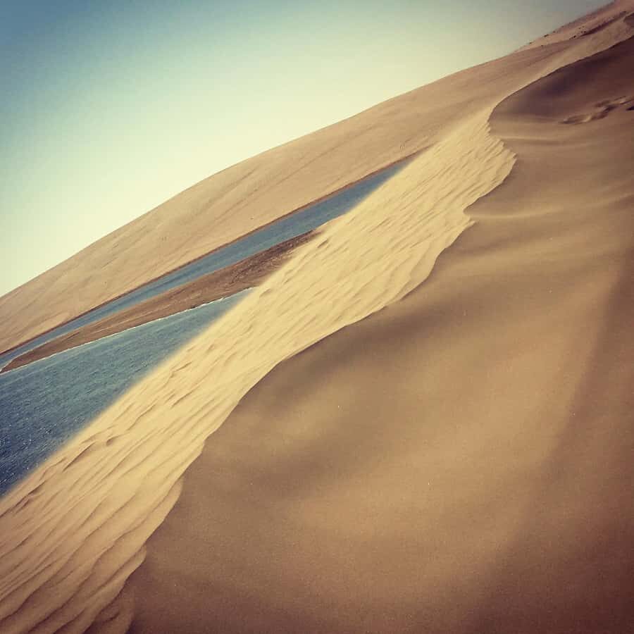 Relax Desert Safari, Sand Dune Bashing (Private Safari) - The 4WD dune bashing: roller-coaster driving across big dunes