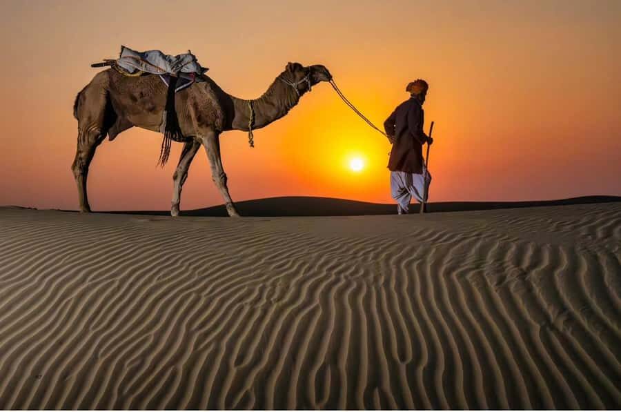 Relax Inland Sea Tour, Desert Safari, Camel Ride, SandBoard - Key things that make this safari worth your time