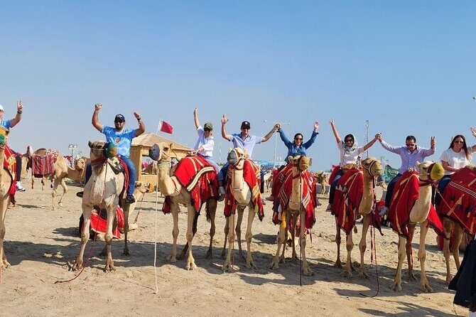 Relax on the Aladdin's carpet & inhale the magical sunset - The Carriage-to-Camel Switch: Camel Ride and First Views