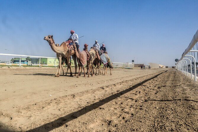 Sheikh Faisal, Camel Race Track visit - Who This Tour Suits Best (and Who Might Want Something Else)