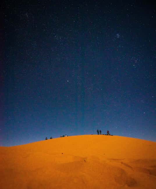 Star Studded Night Desert Safari Doha Qatar - Dune Bashing for Adrenaline (and What to Expect)