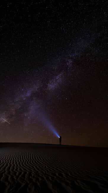 Star Studded Night Desert Safari Doha Qatar - Who This Tour Suits Best (and Who Should Skip It)