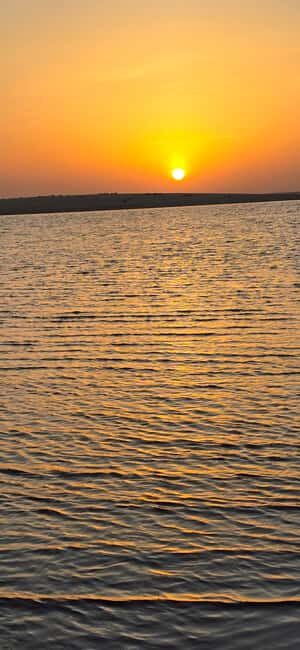 Sunrise or Sunset desert Safari with Sandboarding in Qatar - Key highlights you’ll actually care about