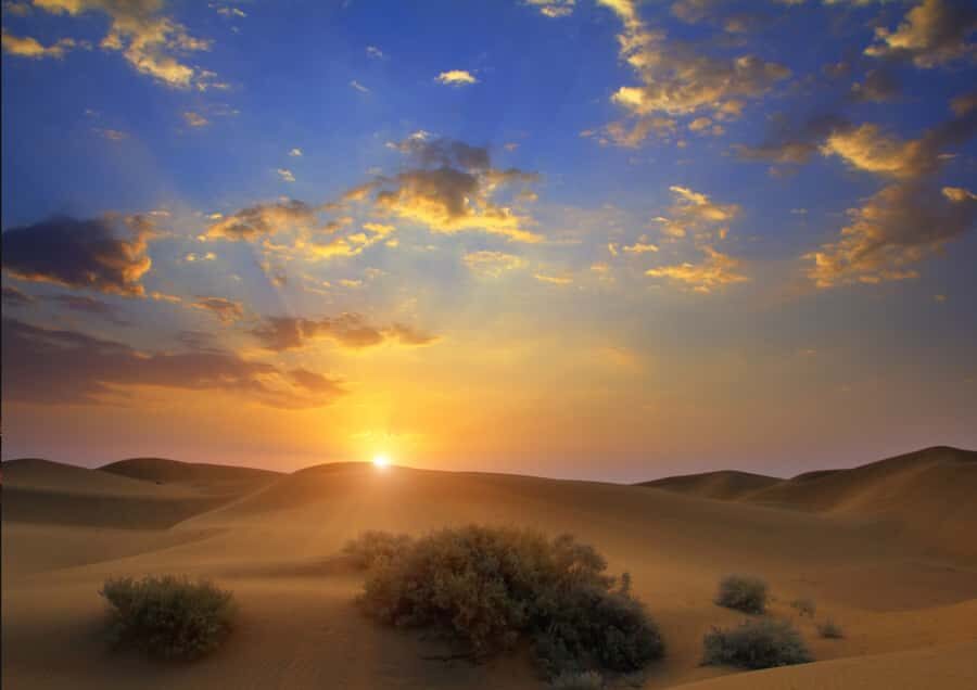 Sunrise : Privare Dune Bashing, Camel Ride & Sandboarding - Inland Sea dune bashing: the thrill block