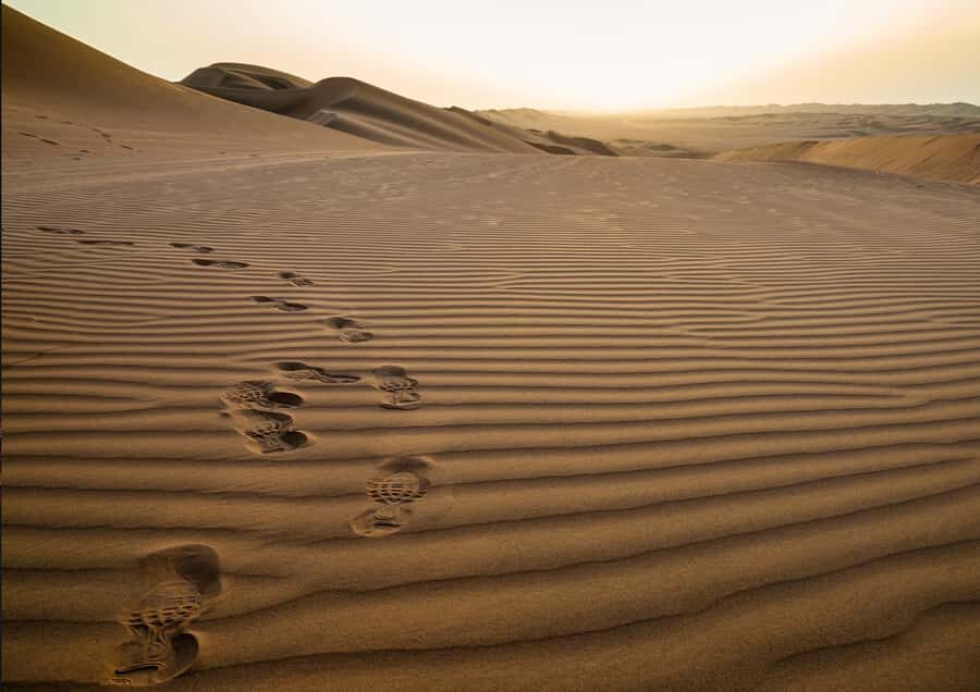 Sunrise : Privare Dune Bashing, Camel Ride & Sandboarding - Sandboarding at sunrise: fun, fast, and very hands-on