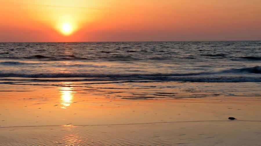 Sunrise : Privare Dune Bashing, Camel Ride & Sandboarding - Inland Sea beach time: your reset between activities