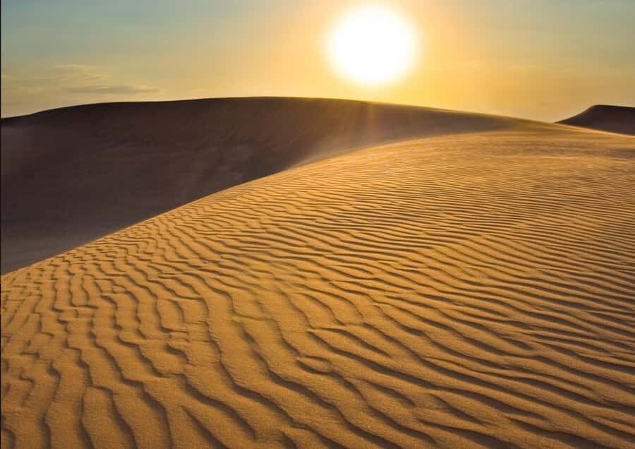Sunrise : Privare Dune Bashing, Camel Ride & Sandboarding - Camel ride at Sealine Beach Resort: the classic optional finish