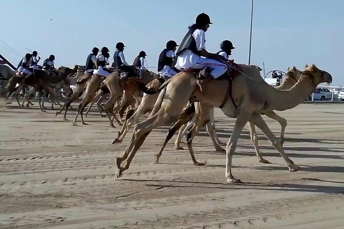 Sunset Keshta at Zekreet | Art, Adventure & Arabian Picnic - Quick highlights