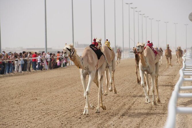 Sunset Keshta at Zekreet | Art, Adventure & Arabian Picnic - Keshta picnic setup: what you’ll actually do once you stop