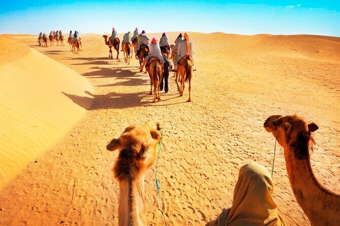 Tranquil Sands A Serene Desert Safari Experience - Khawr al Udayd Inland Sea: the desert-meets-water moment you came for