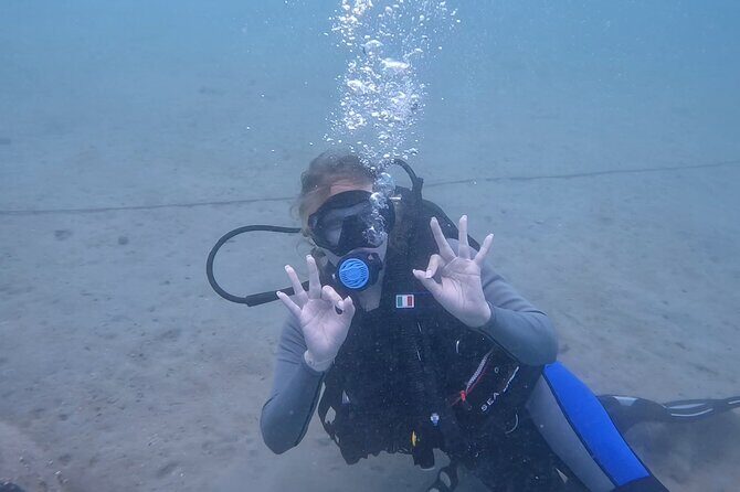 Try Scuba dive in Qatar - Your official certificate: what you take home