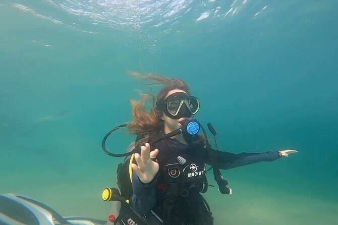 Try Scuba dive in Qatar - The 10–30 minute intro: where confidence gets built
