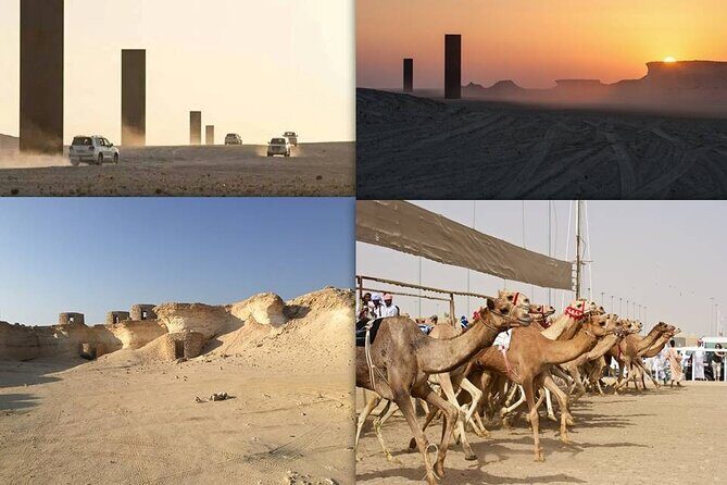 West Coast and Camel Race Track Visit - Key highlights you’ll feel on the ground