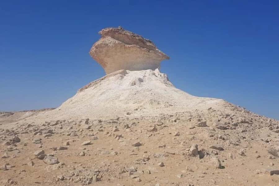 West Qatar-Doha Richard sierra,camel race,mushroom rock - Key highlights at a glance