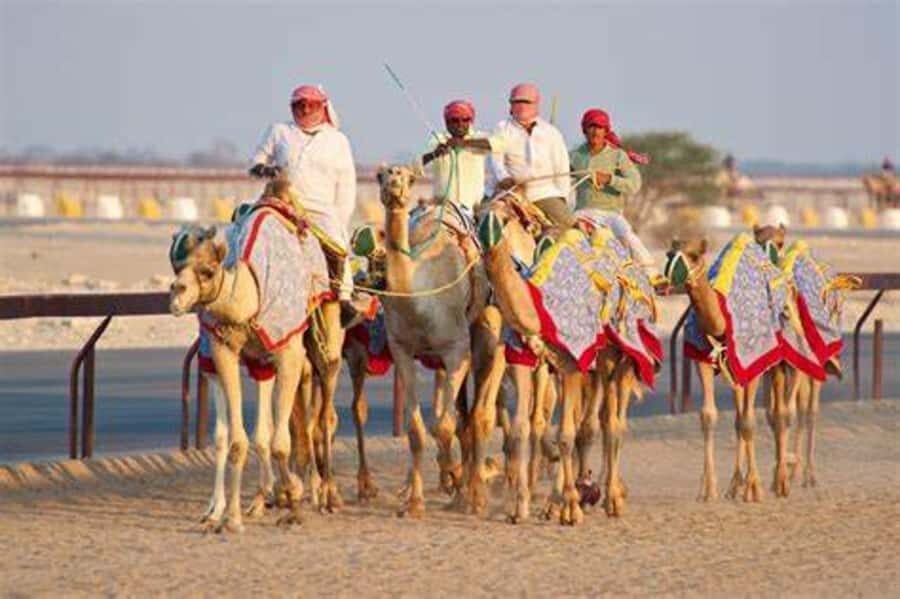 West Qatar-Doha Richard sierra,camel race,mushroom rock - West Qatar from Doha: what this 4.5-hour format really does