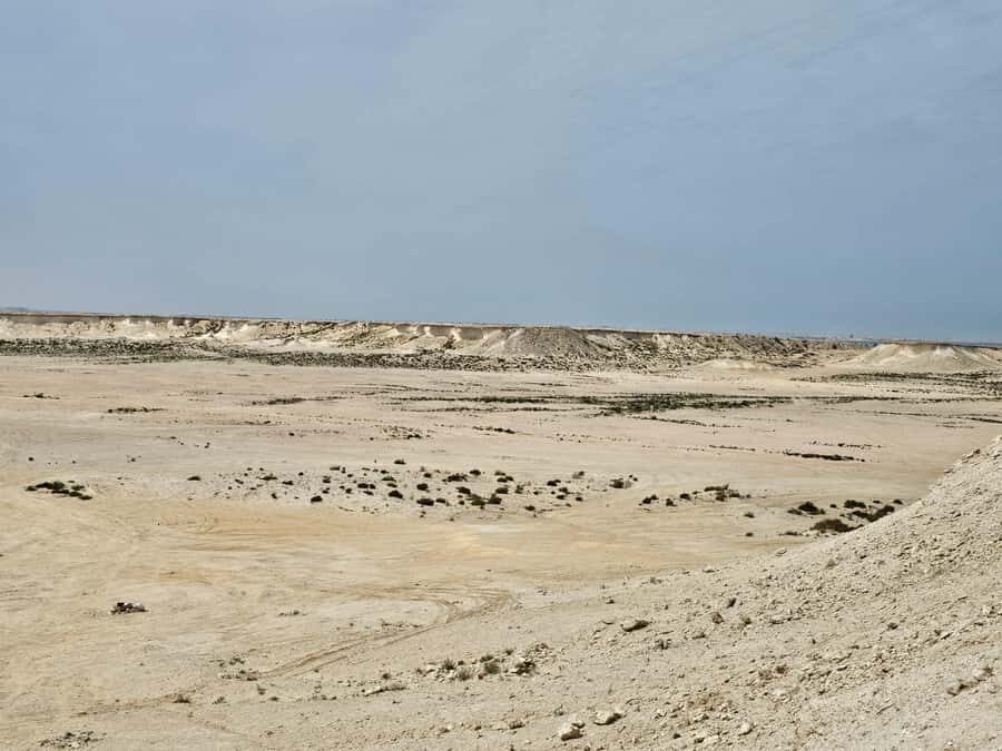 West Qatar-Doha Richard sierra,camel race,mushroom rock - Transport, comfort, and what the guide actually adds