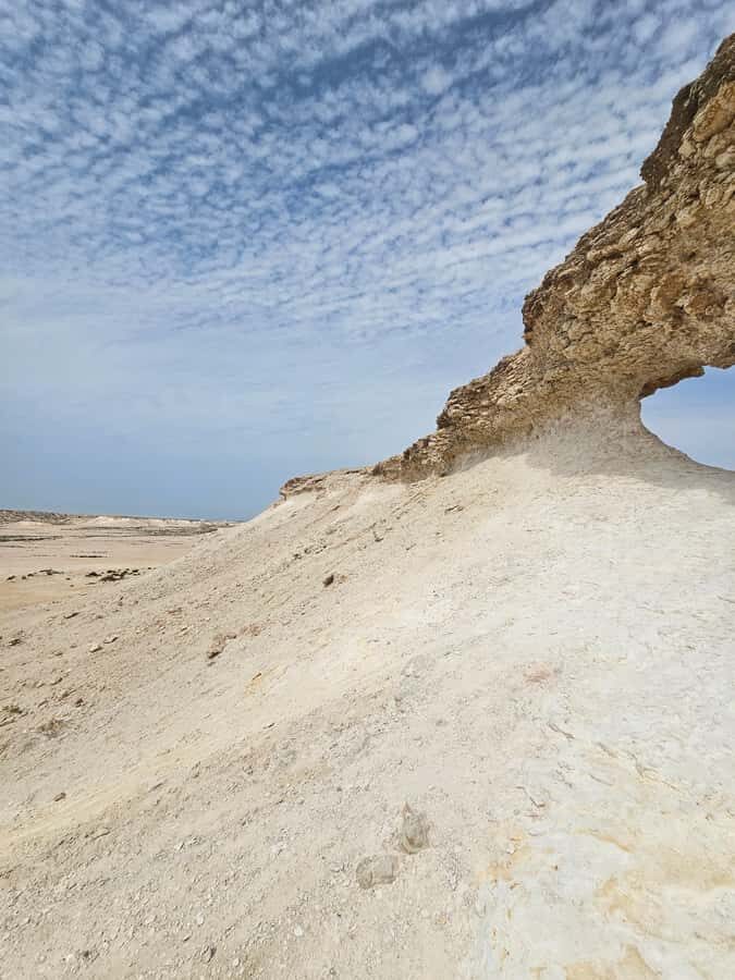 West Qatar-Doha Richard sierra,camel race,mushroom rock - Price and value: is $67 per person a good deal?